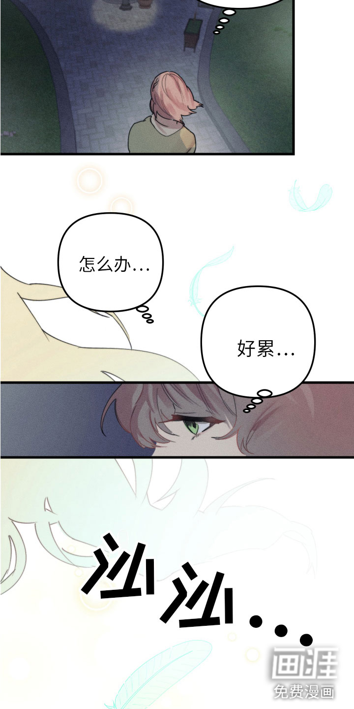 邻家小天使第8话图