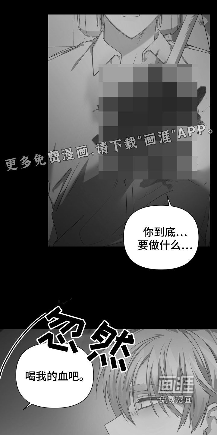 狼人与血族第11话图