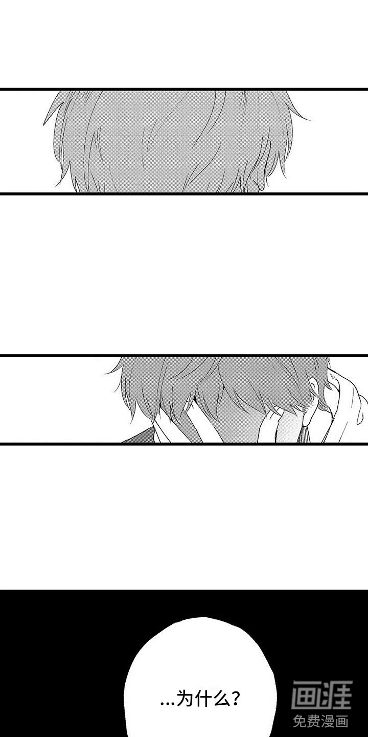 两个小笨蛋第19话图