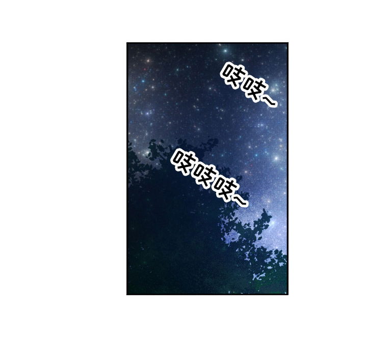 流星落入掌中第11话图