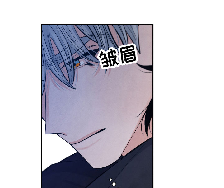 流星落入掌中第19话图