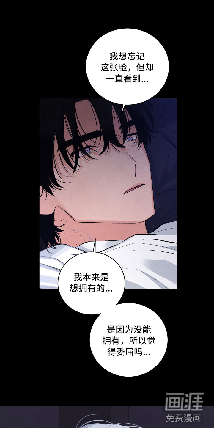 流星落入掌中第4话图