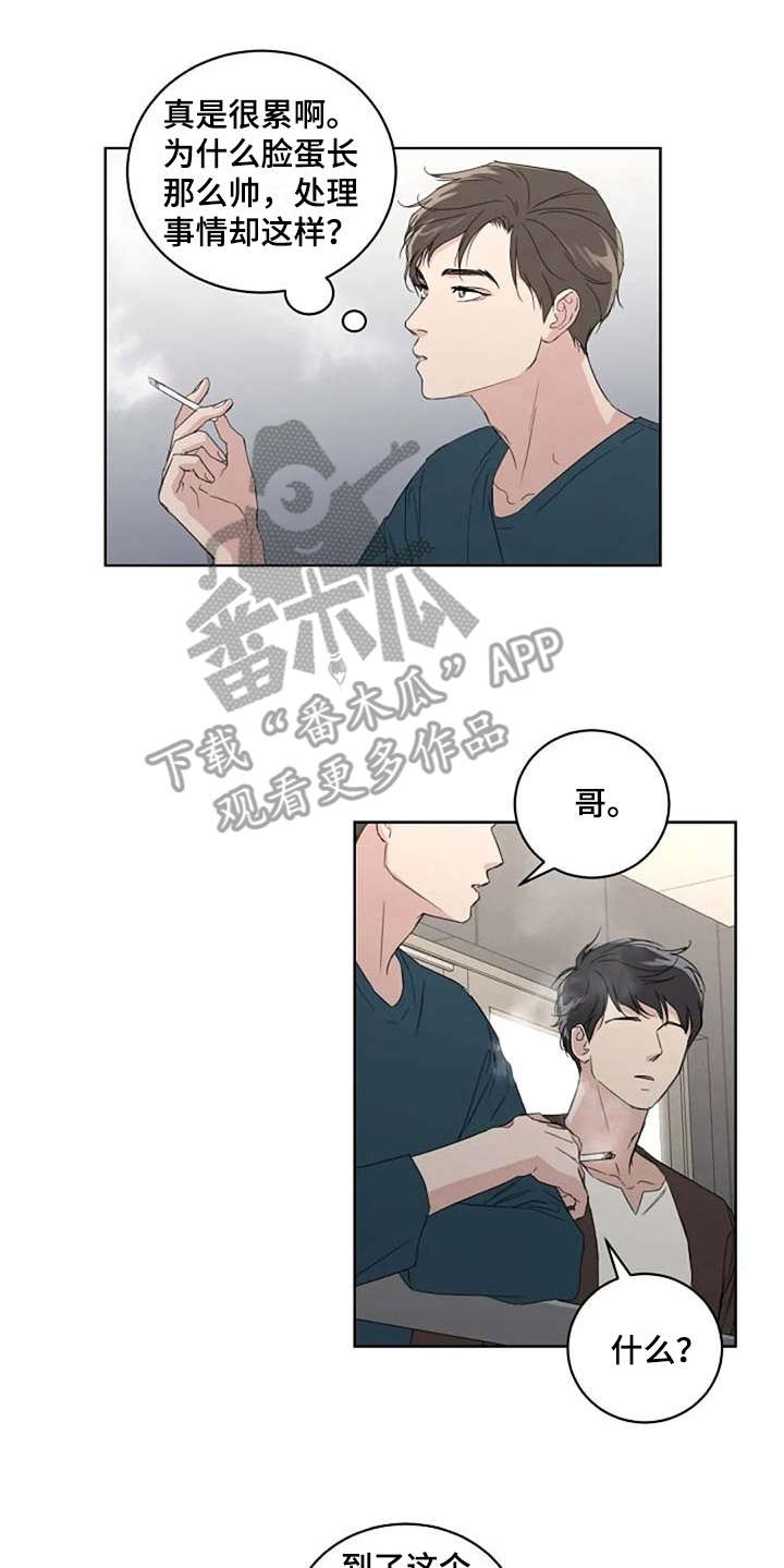恋爱理论漫画-图5