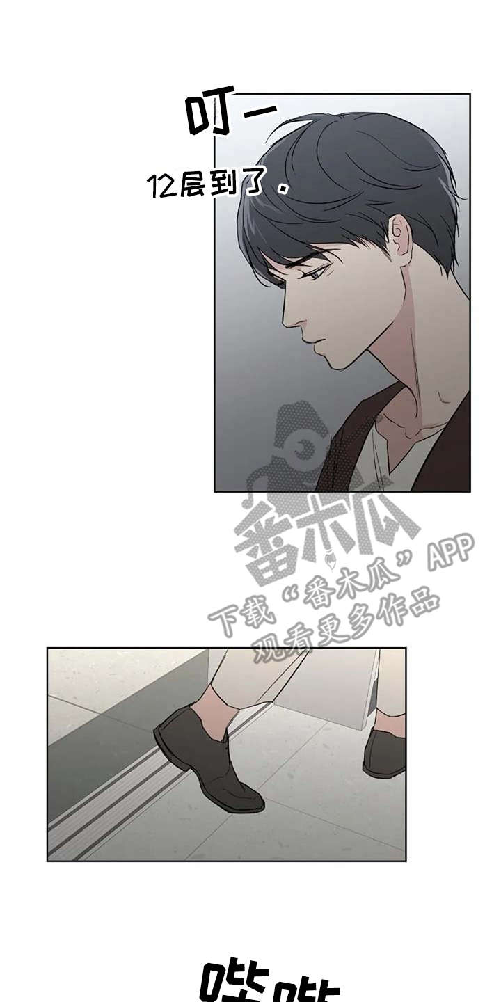 恋爱理论漫画-图1