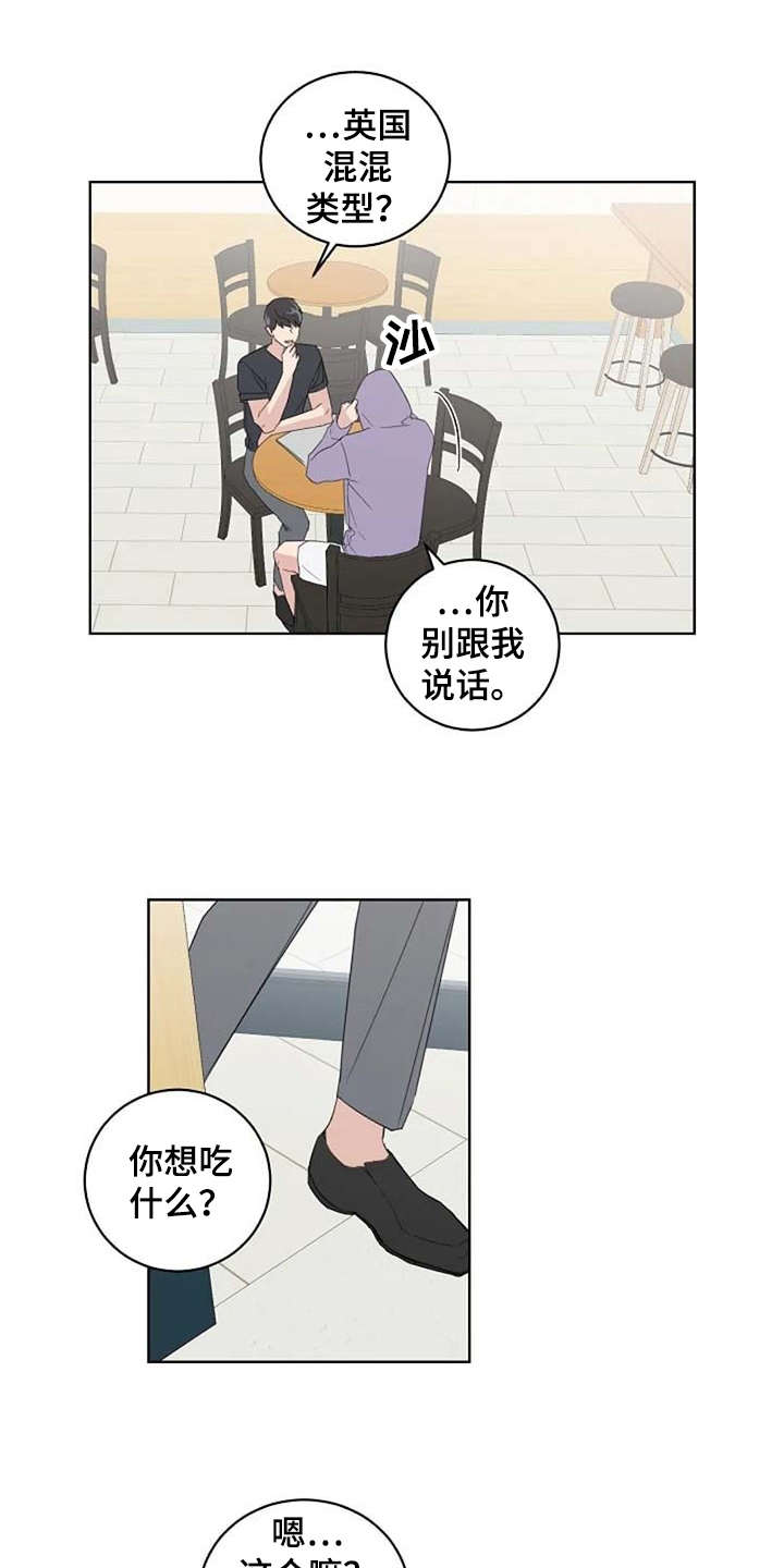 恋爱理论漫画-图4