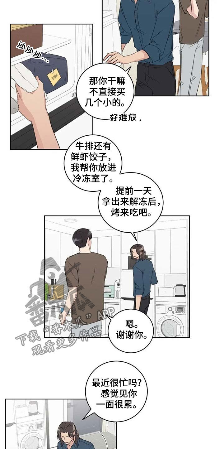 恋爱理论漫画-图4
