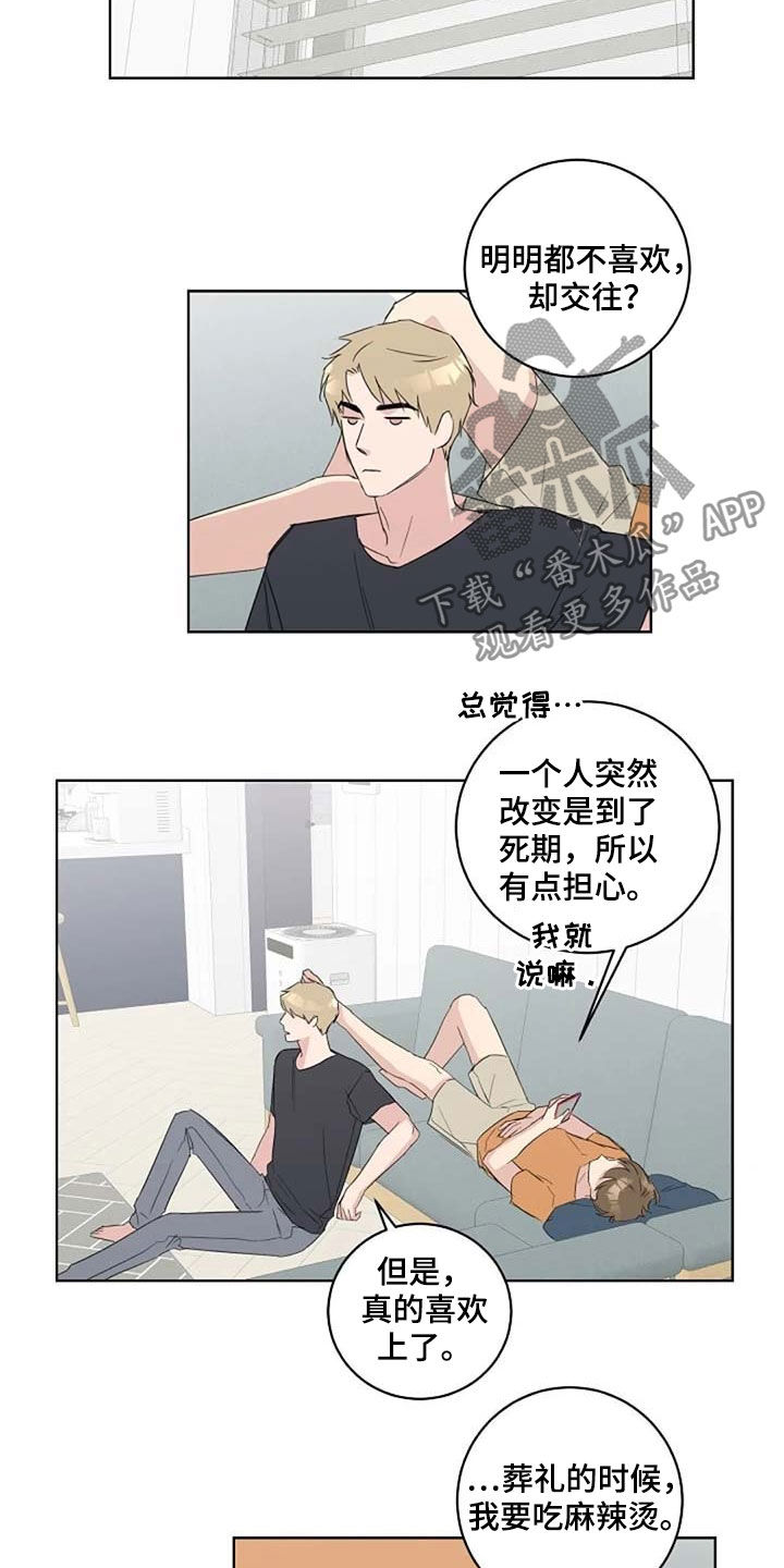 恋爱理论漫画-图1