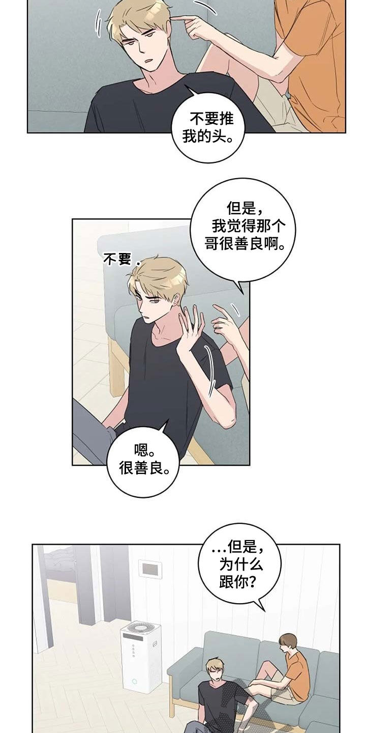 恋爱理论漫画-图3