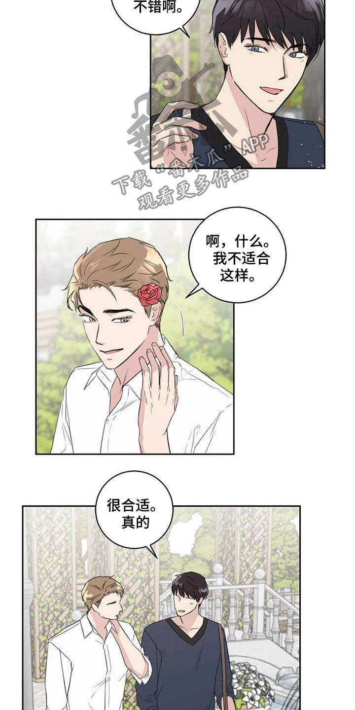 恋爱理论第50话图