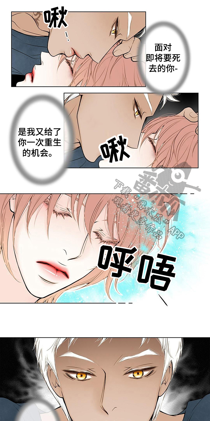 灵魂争夺第18话图