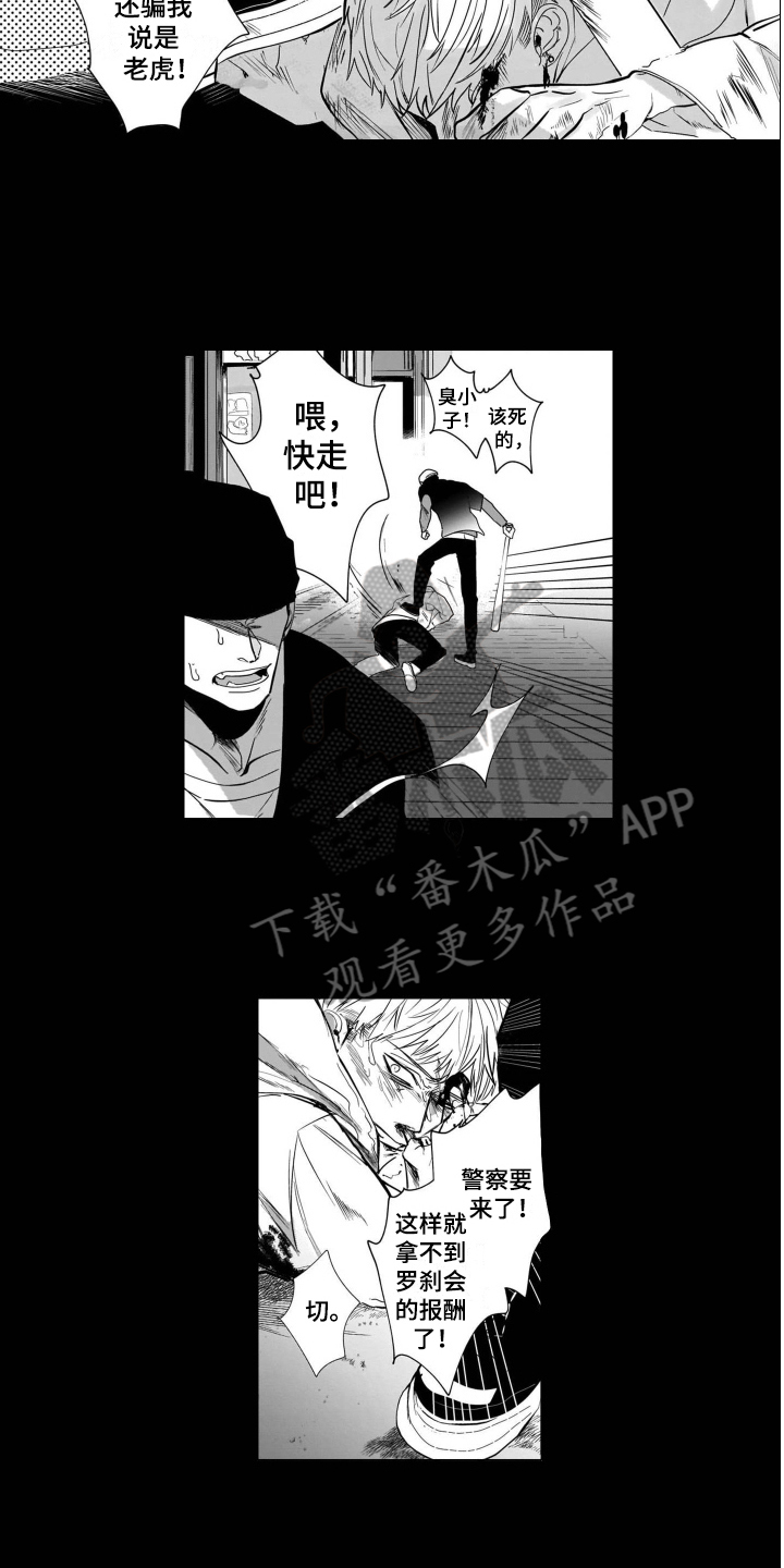 老虎的猎物第10话图