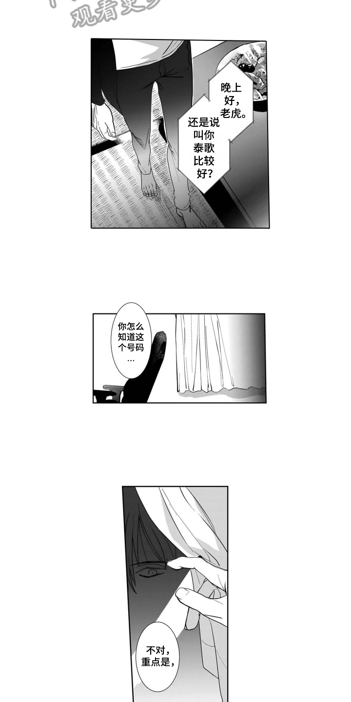 老虎的猎物第10话图