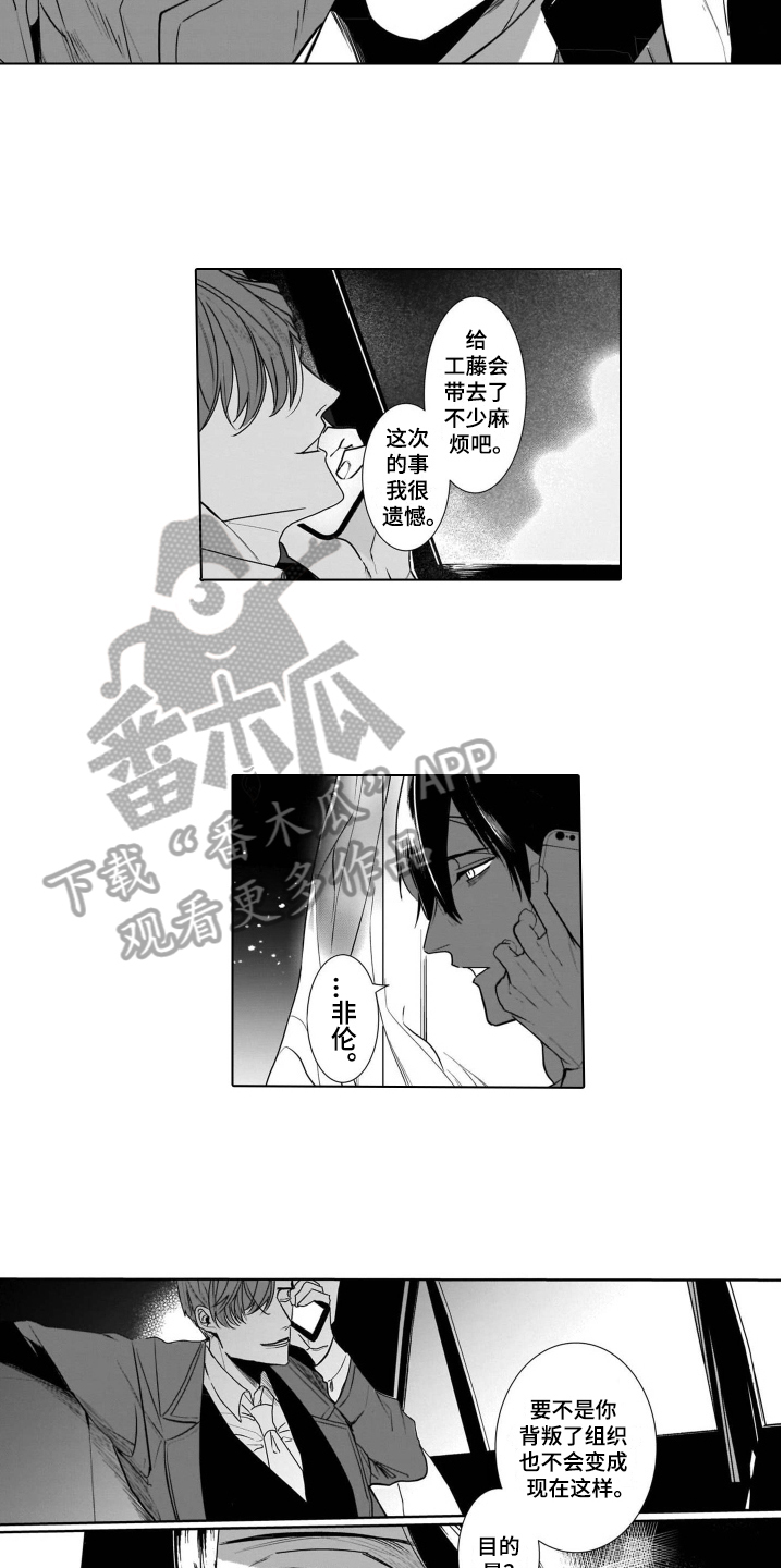 老虎的猎物第10话图