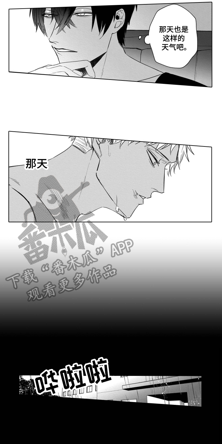 老虎的猎物第14话图