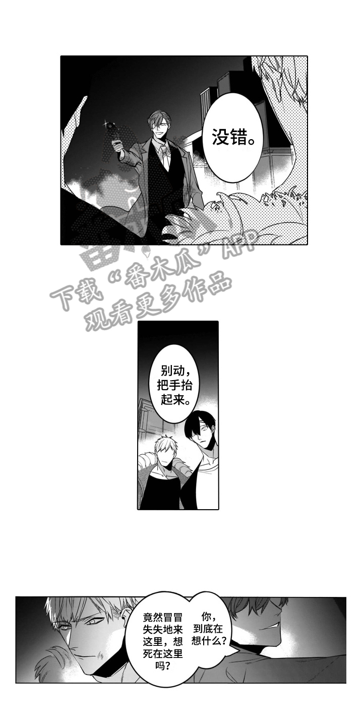 老虎的猎物第17话图