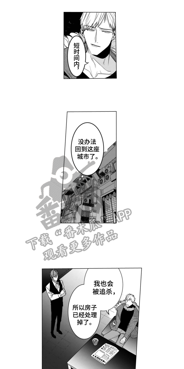 老虎的猎物第19话图