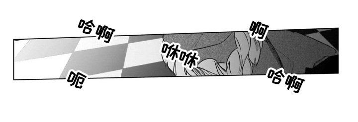 老虎的猎物第19话图