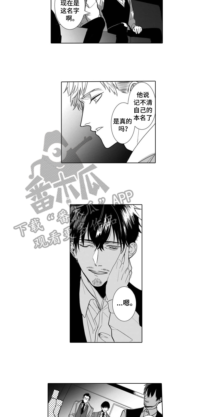 老虎的猎物第9话图