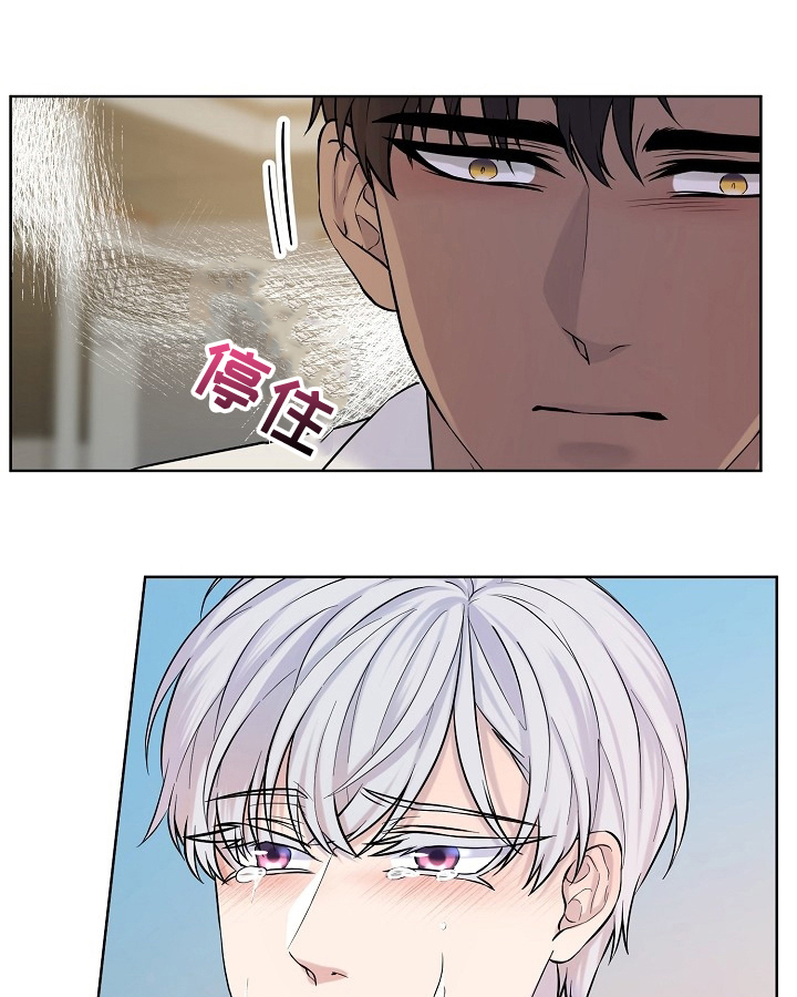 笼子里的金丝雀第30话图