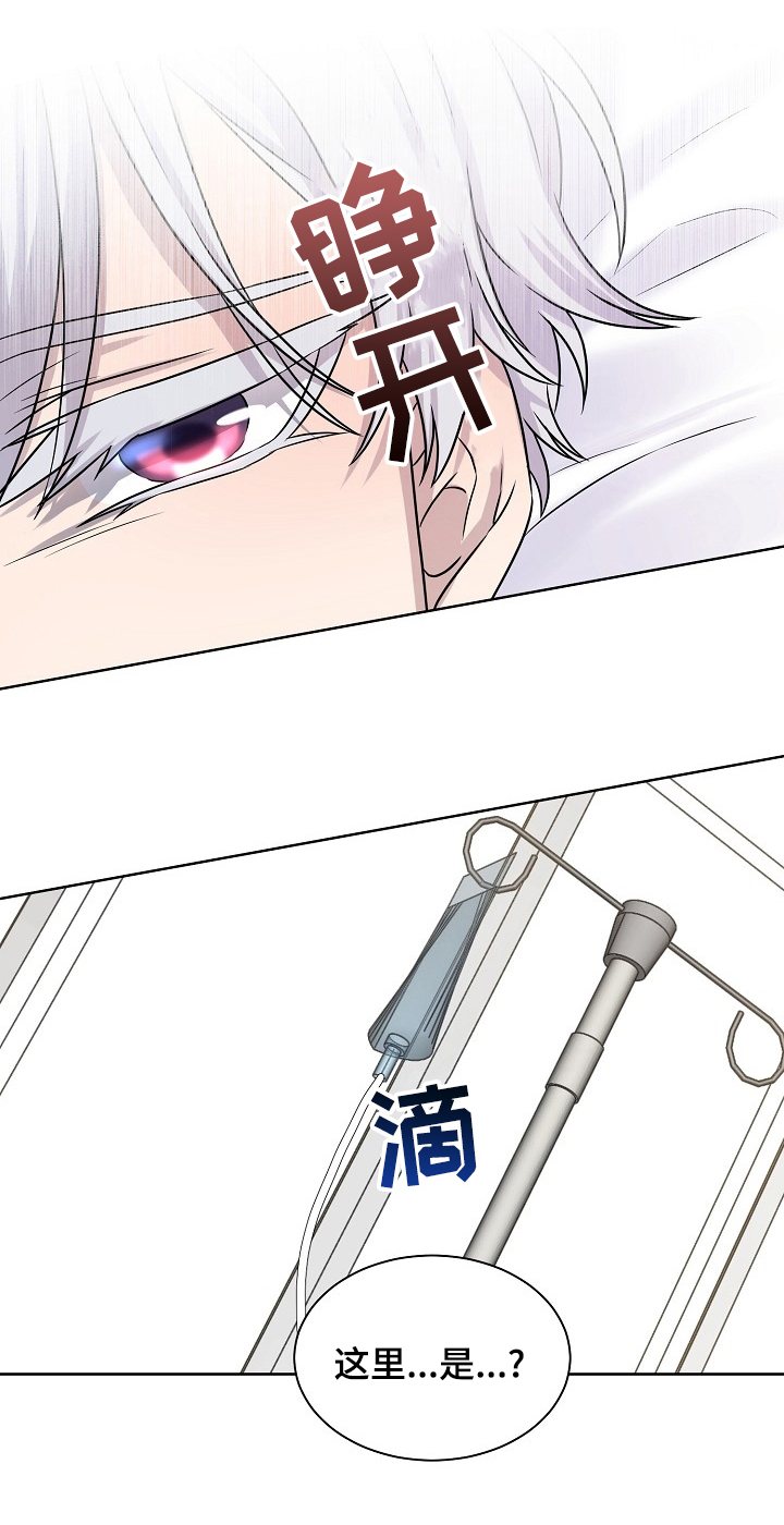 笼子里的金丝雀第37话图