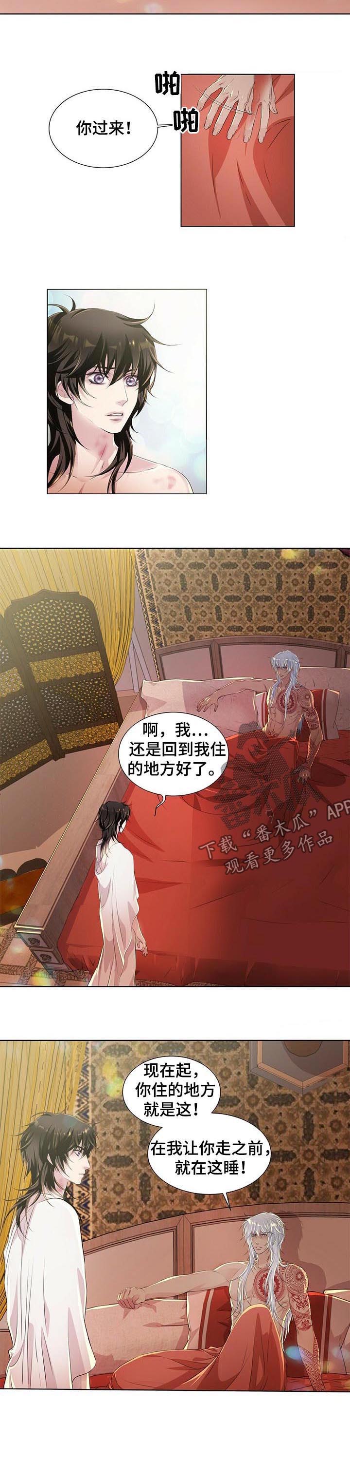 狼王子第37话图