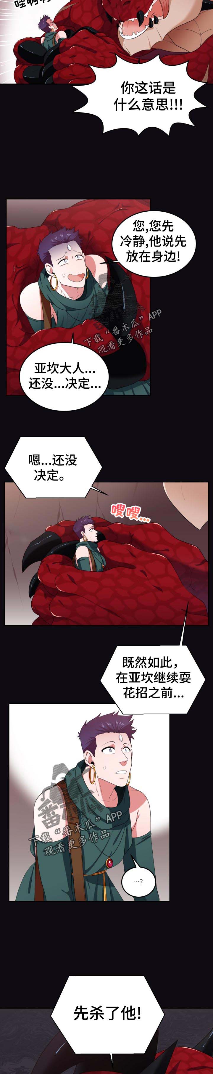 龙的主人第30话图