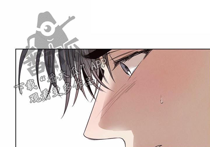 柳树下的浪漫第29话图