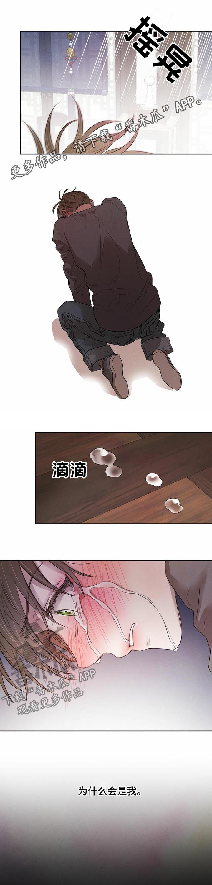 柳树下的浪漫第49话图