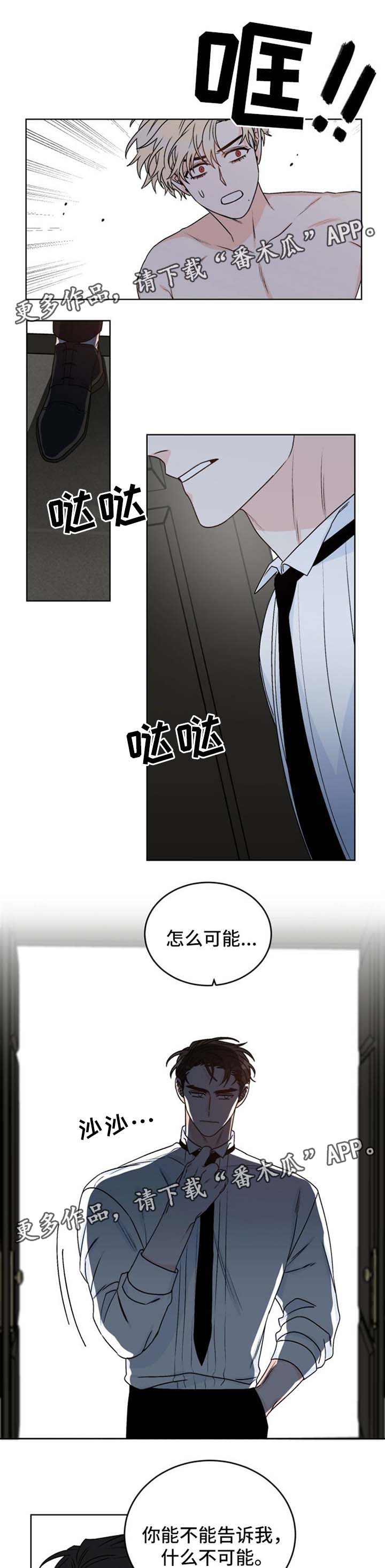 龙的刻印第41话图