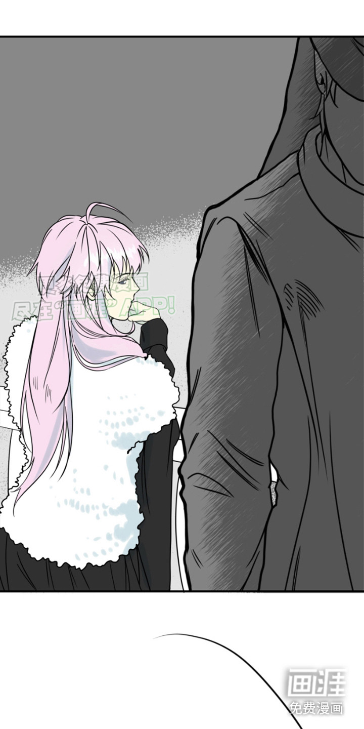 绿色世界第4话图