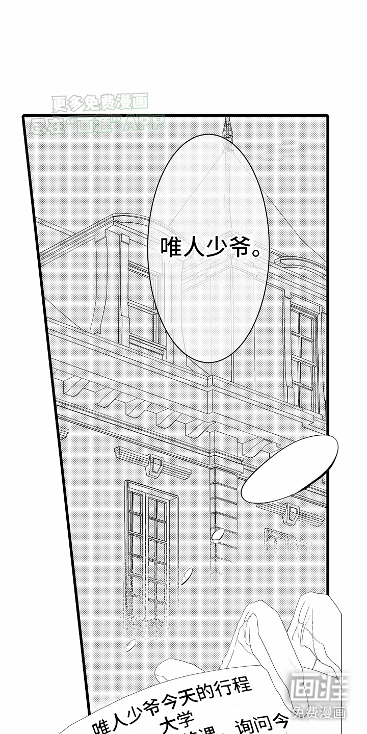 浪漫风暴第1话图