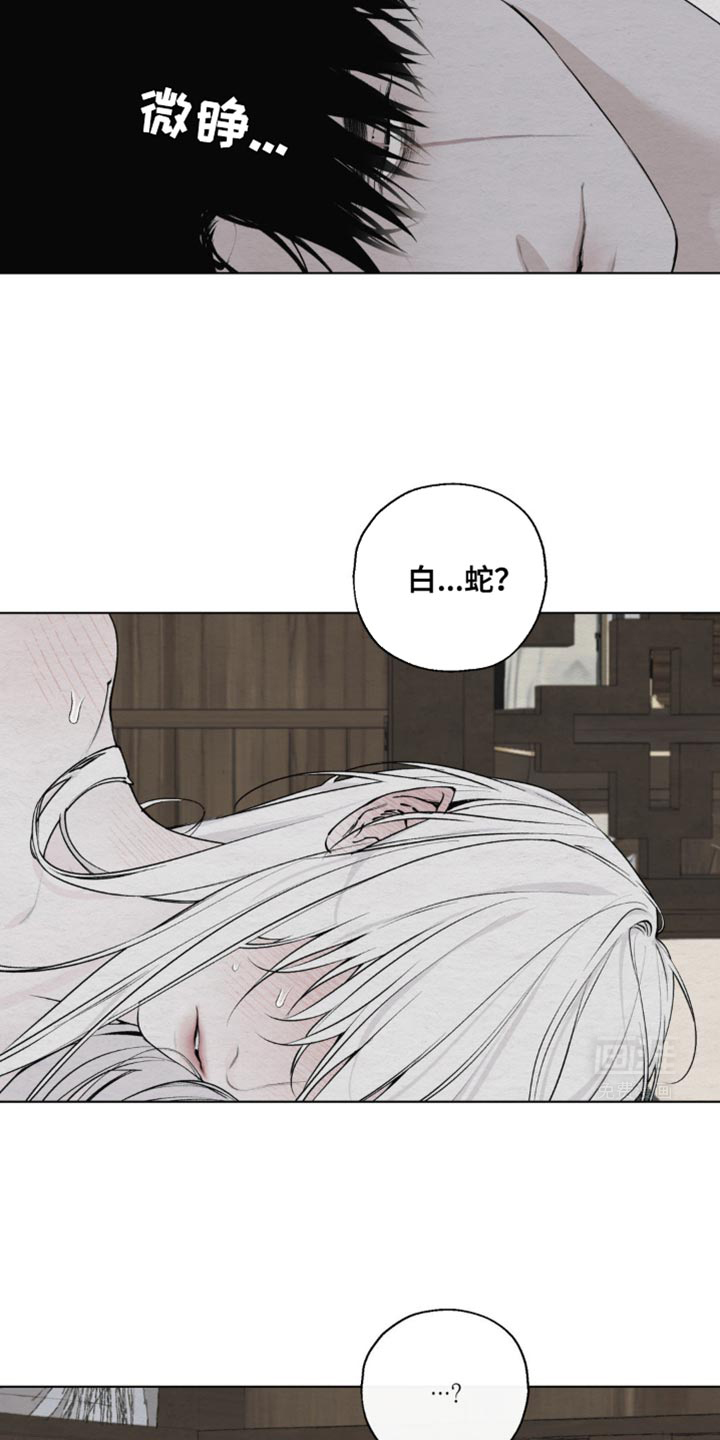 龙魂蛇影第26话图