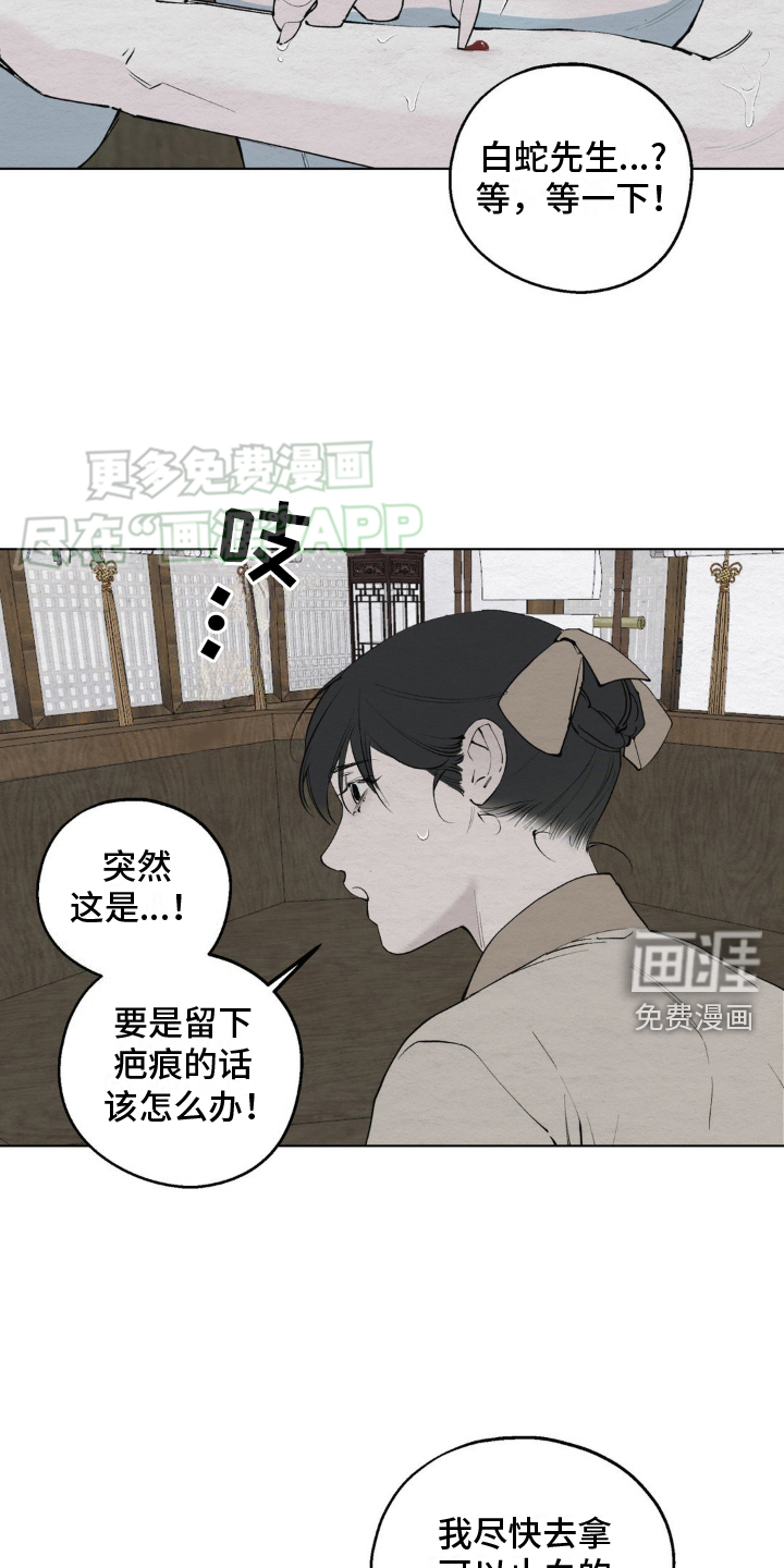 龙魂蛇影第7话图