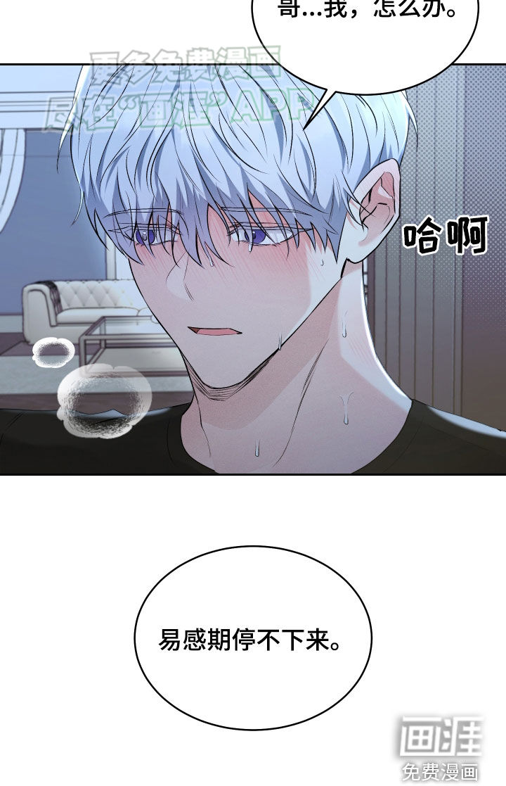 绿茶也有春天第31话图