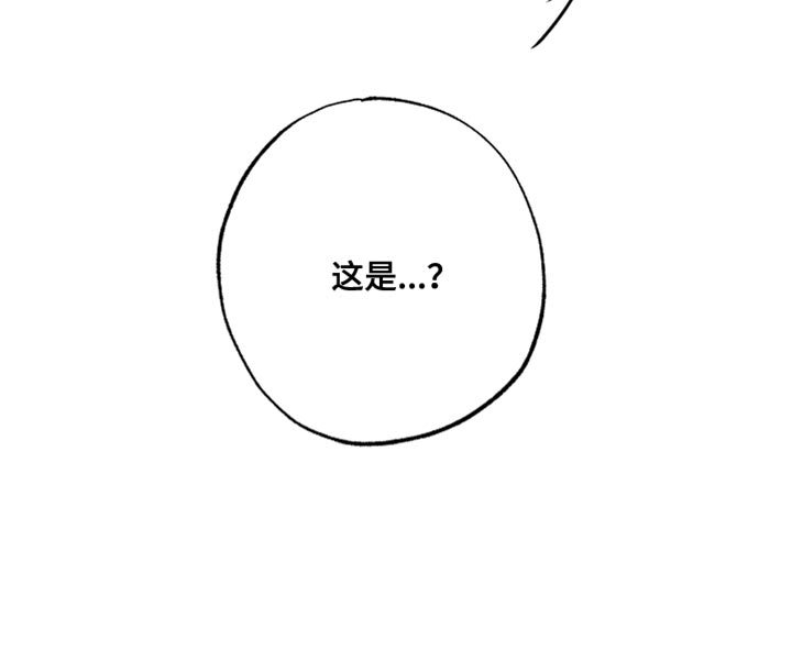 流星坠落第13话图