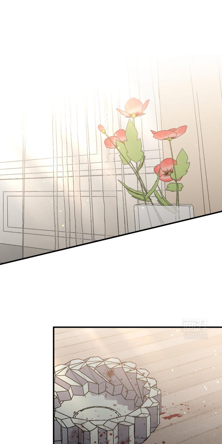 流星坠落第20话图