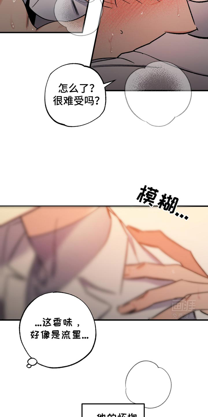 流星坠落第22话图