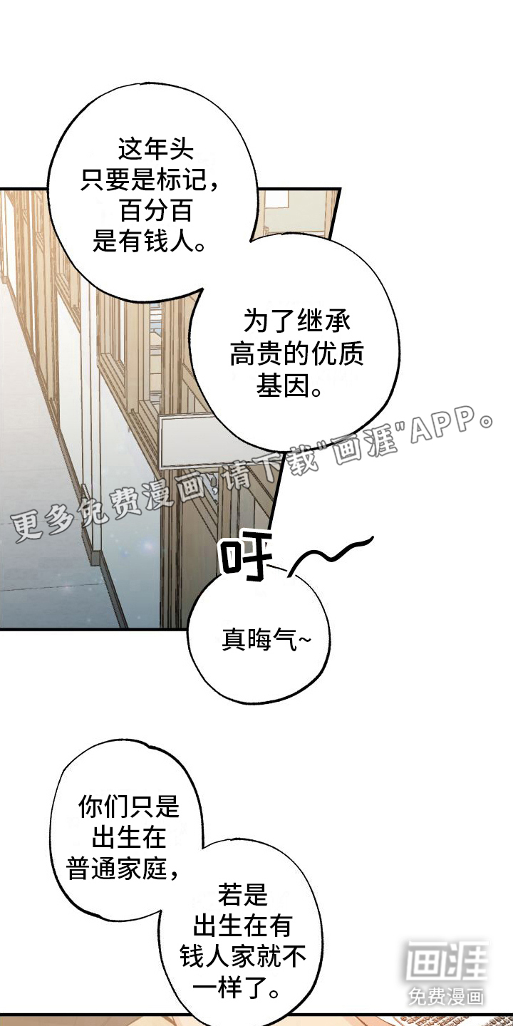 流星坠落第8话图