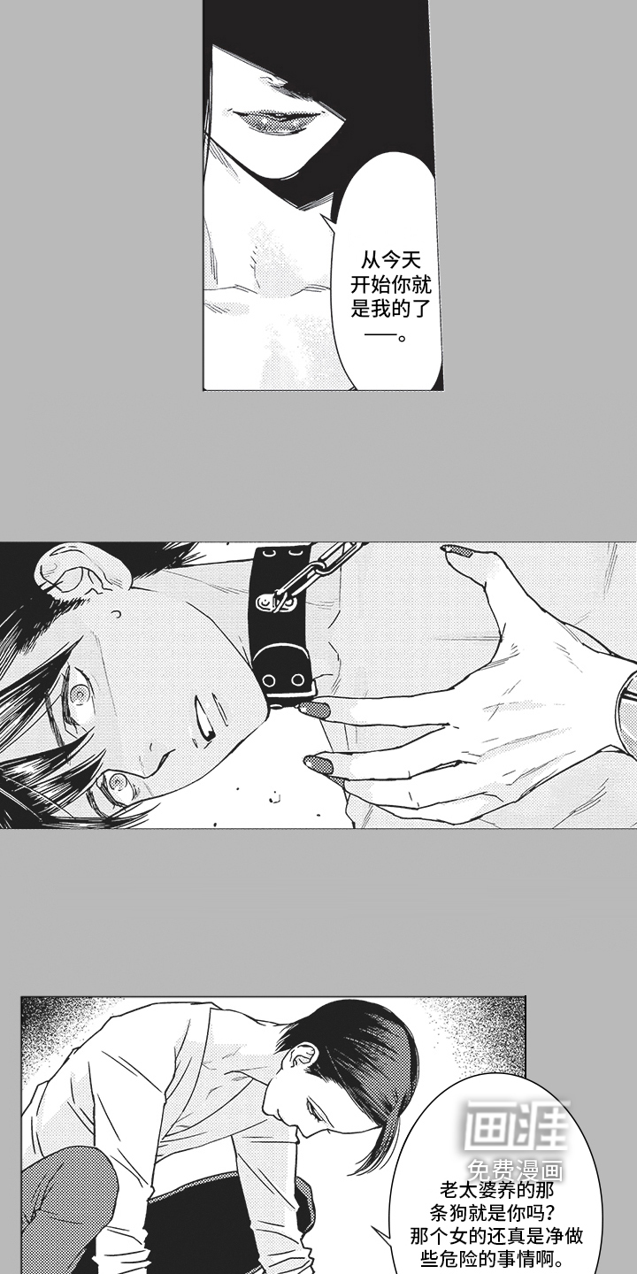 恋爱竞赛第7话图