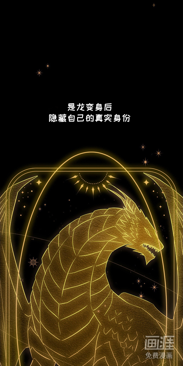 龙的鳞片第12话图