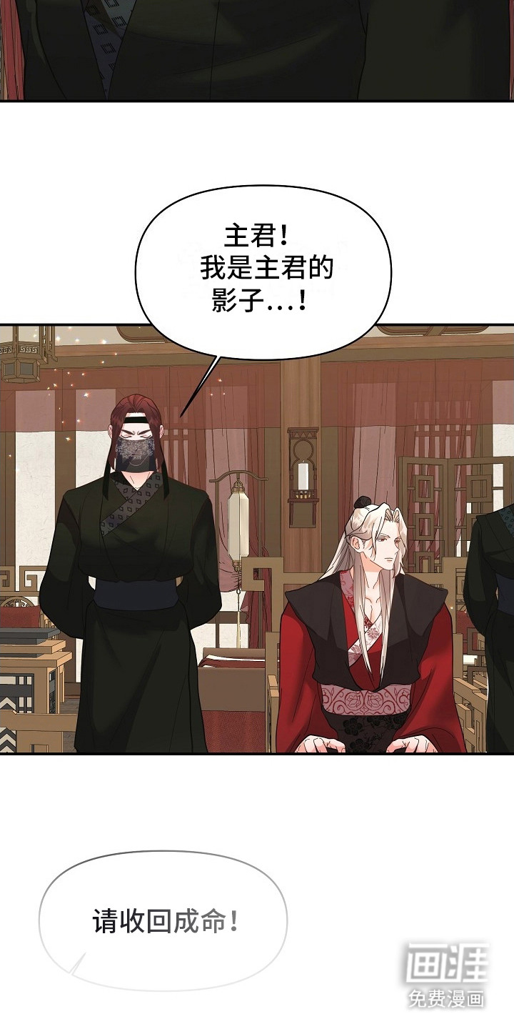 陆地灵药第13话图