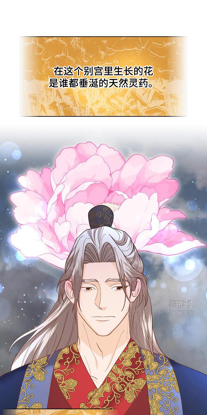 陆地灵药第30话图