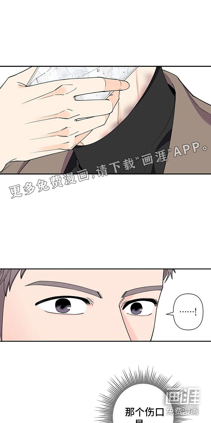 劣质阿尔法第10话图