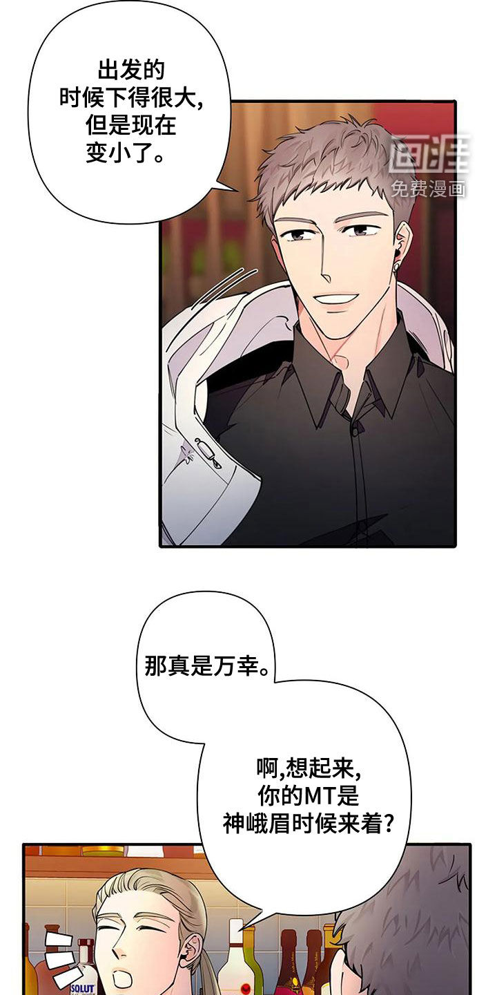 劣质阿尔法第19话图