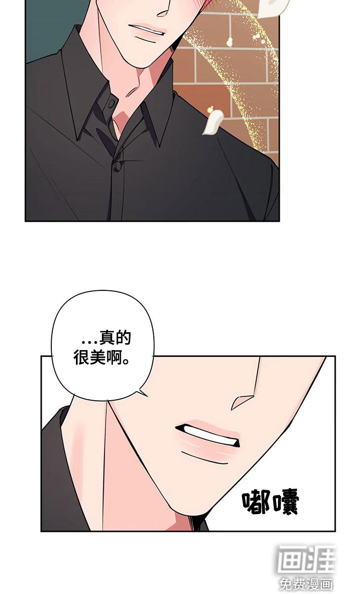 劣质阿尔法第23话图