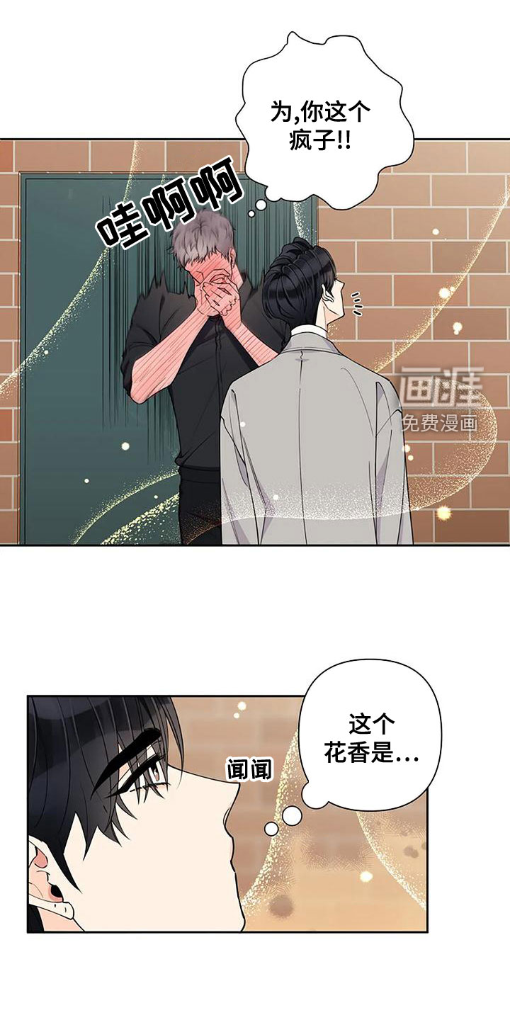 劣质阿尔法第24话图