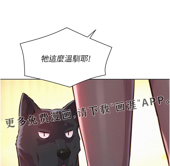 浪漫野营第46话图