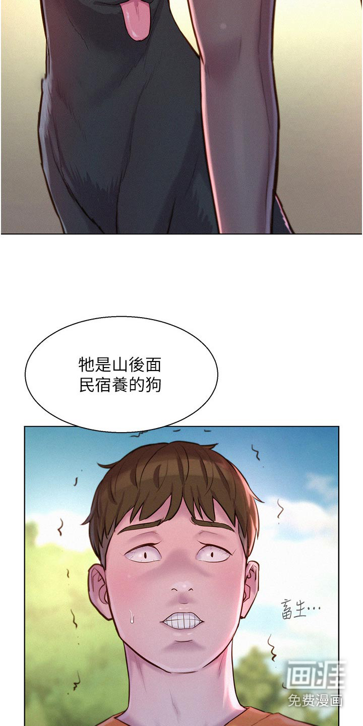 浪漫野营第46话图