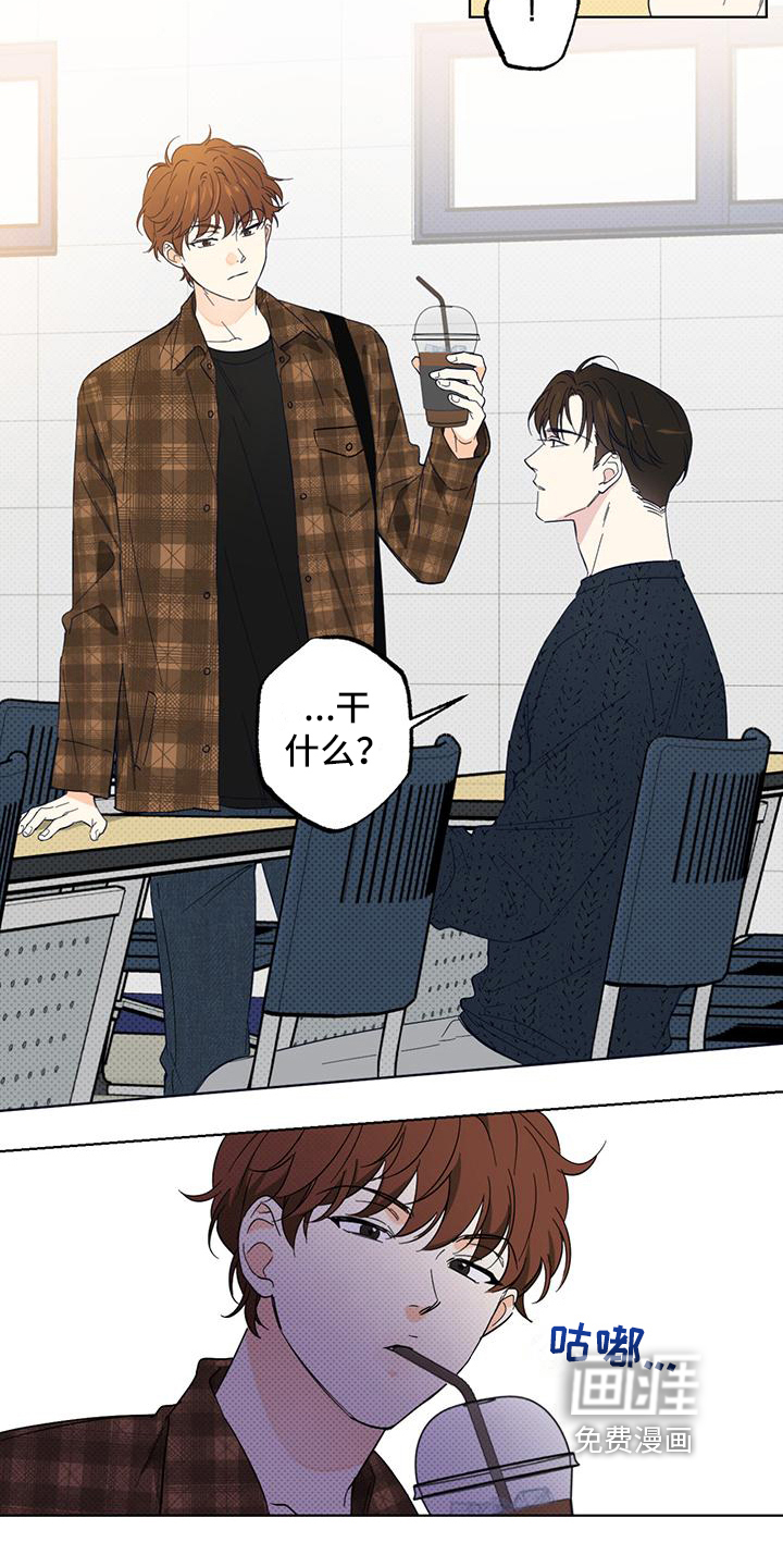 恋爱合伙人第13话图