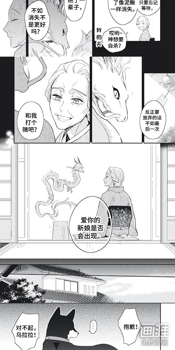 龙神的逆鳞第48话图